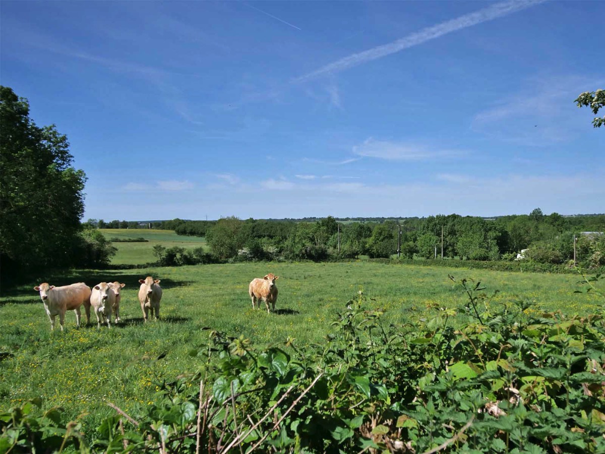 Countryside Views from the garden at Chez Le Pinier Gite 