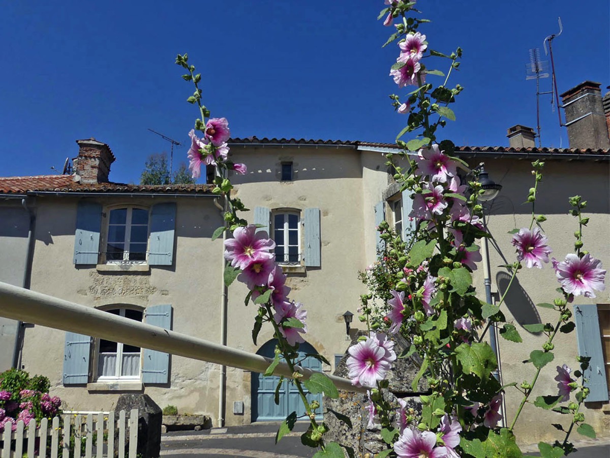 Hollyhocks in the streets at Vouvant
