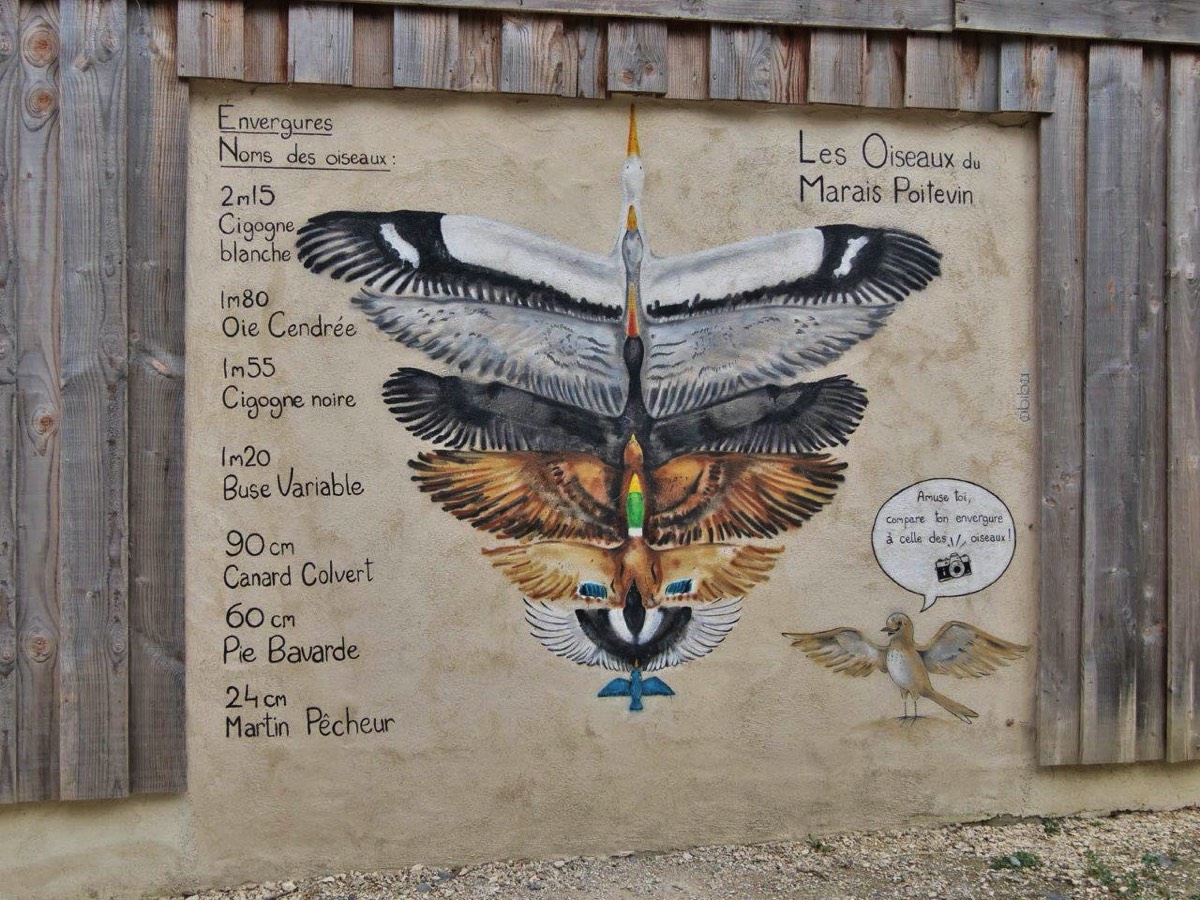 Les Oiseaux du Marais Poitevin