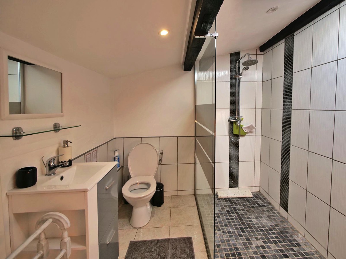 Modern Walk in shower at Garden View Gite