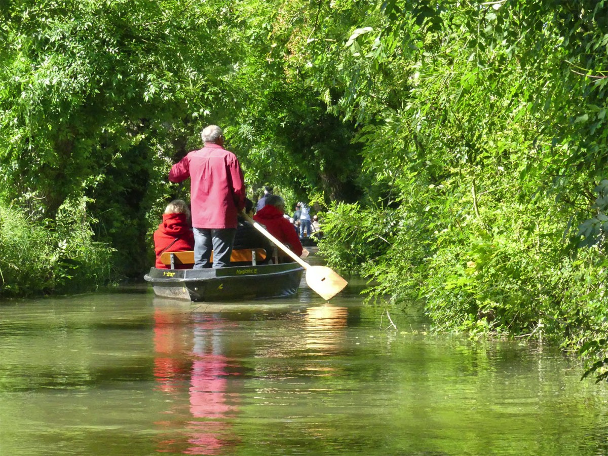 The canals of the Marais Poitevin at Coulon