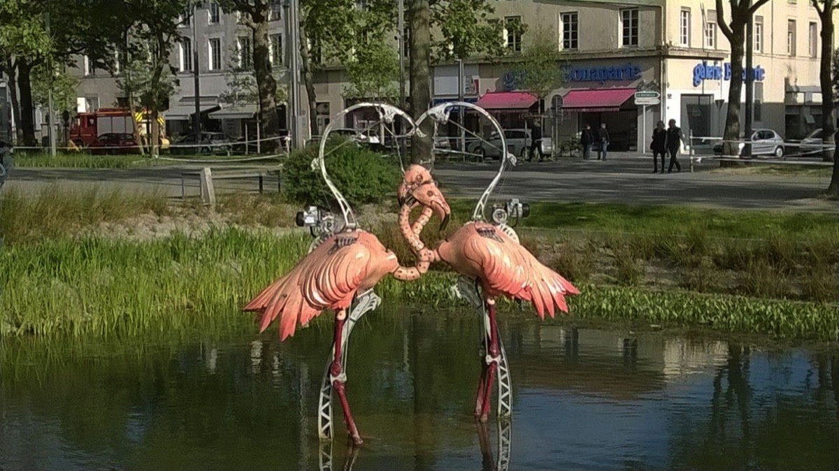 The Mechanical Flamingos at La Roche sur Yon