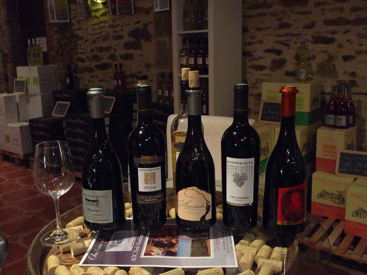 Wine tasting at the Chateau de Rosnay