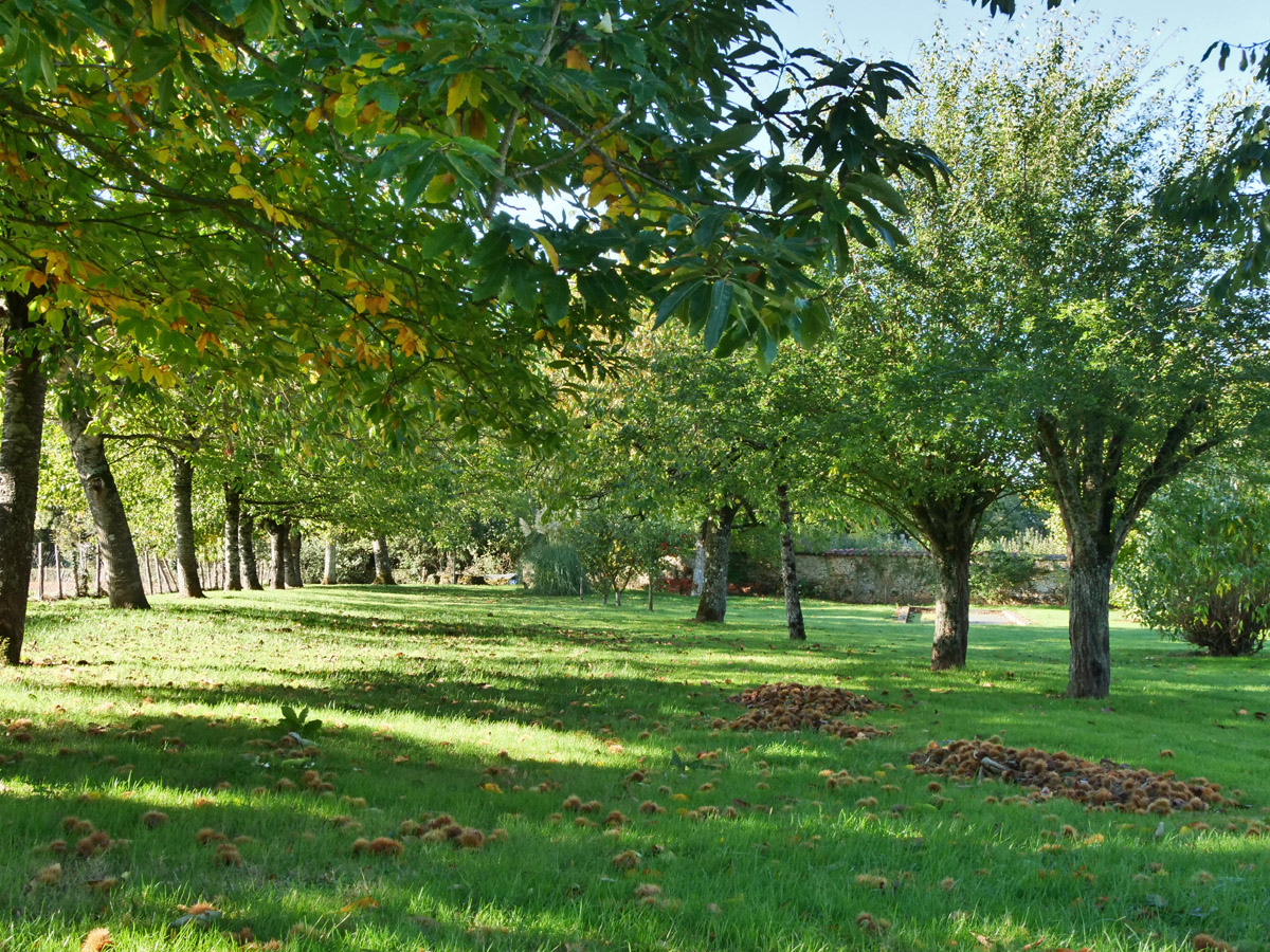 The Orchard in Autumn at Le Gite Tranquille