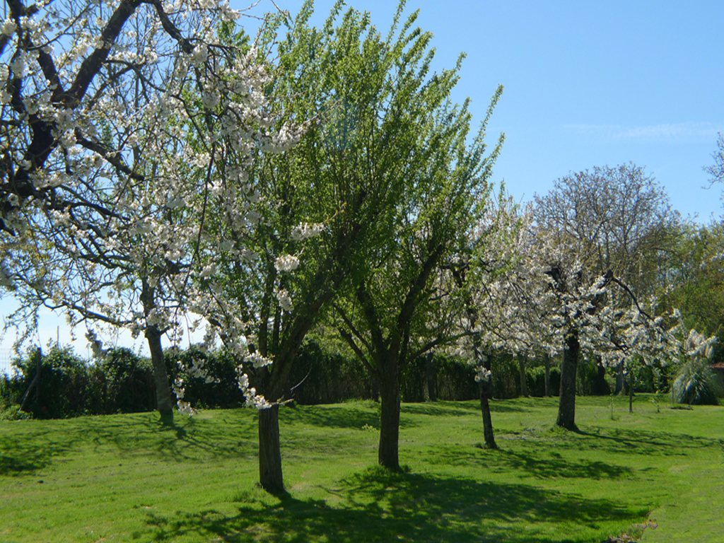 The Orchard at Le Gite Tranquille in the Vendee