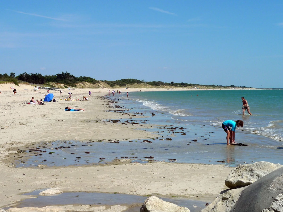 A wild beach on the Ile de Re