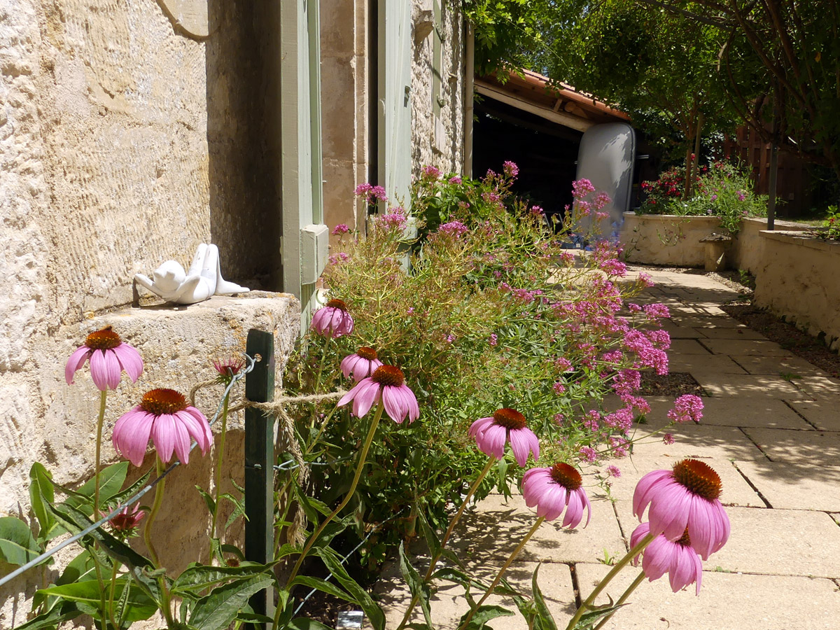 Flowers on the Terrace at Maison Meli Holiday Cottage