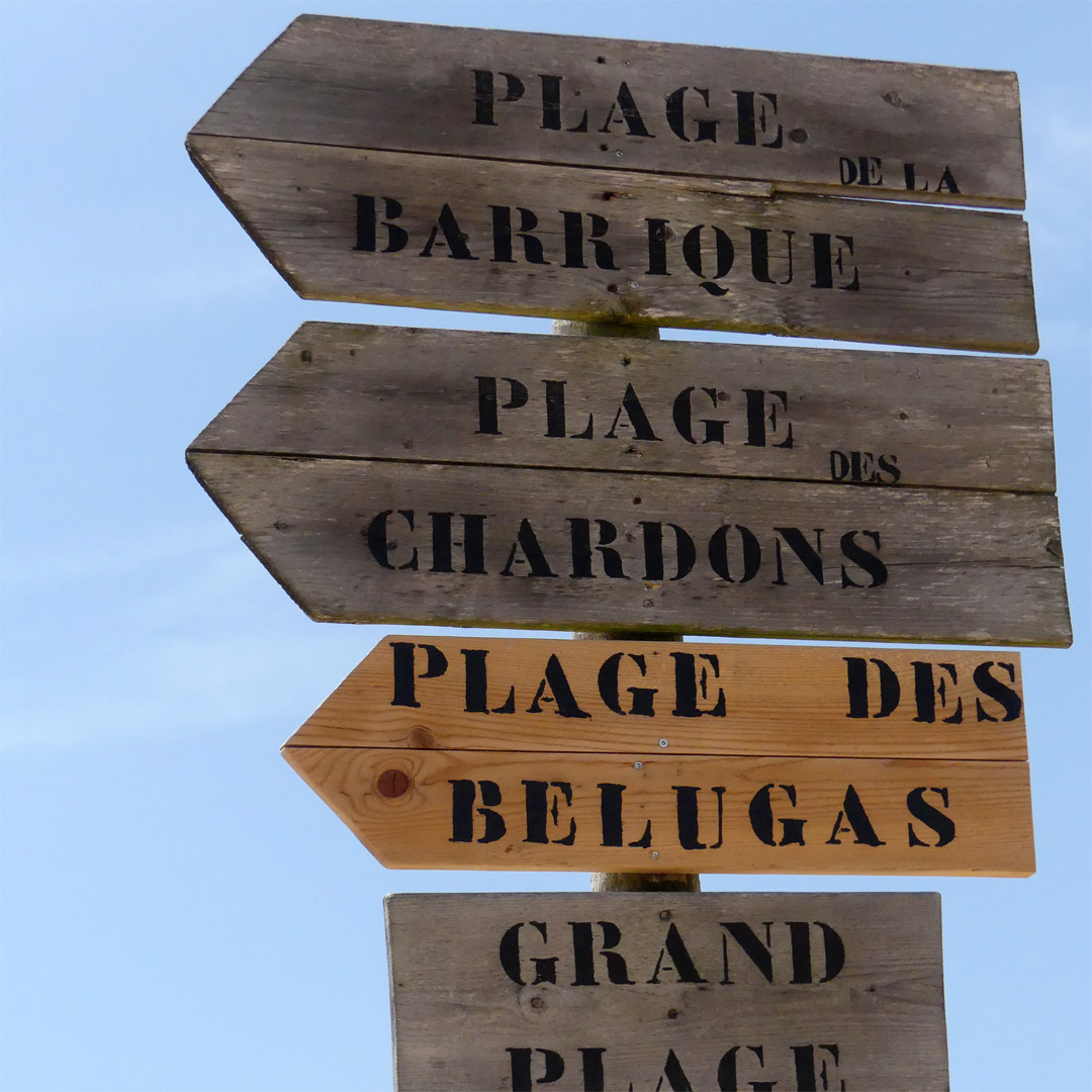 This way to the beaches at La Faute sur Mer